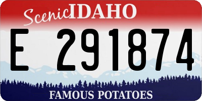 ID license plate E291874
