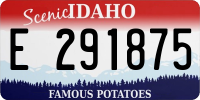 ID license plate E291875