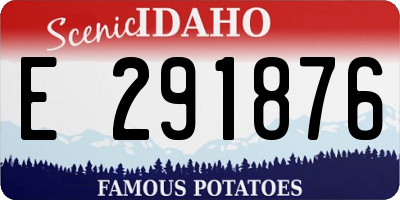 ID license plate E291876