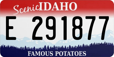 ID license plate E291877