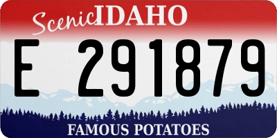 ID license plate E291879