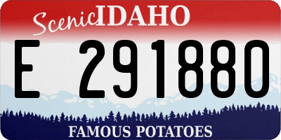 ID license plate E291880