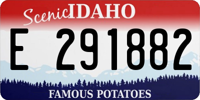ID license plate E291882