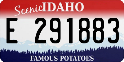 ID license plate E291883