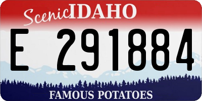 ID license plate E291884