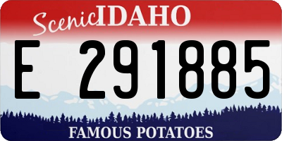ID license plate E291885