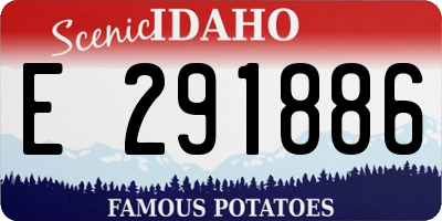 ID license plate E291886