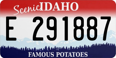 ID license plate E291887