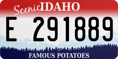 ID license plate E291889