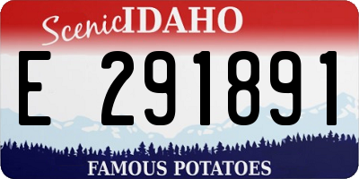ID license plate E291891