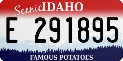 ID license plate E291895