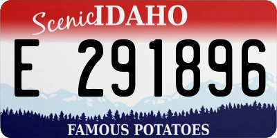 ID license plate E291896