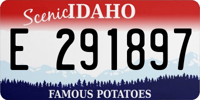 ID license plate E291897
