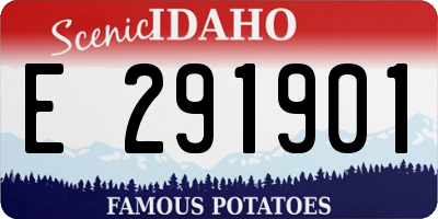 ID license plate E291901