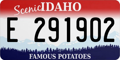 ID license plate E291902