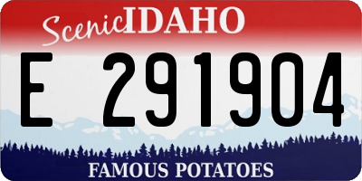 ID license plate E291904