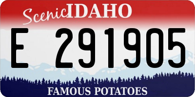 ID license plate E291905