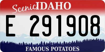 ID license plate E291908