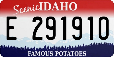 ID license plate E291910