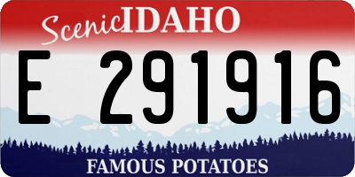 ID license plate E291916