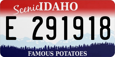 ID license plate E291918