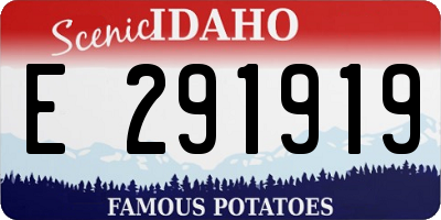 ID license plate E291919