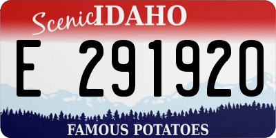 ID license plate E291920