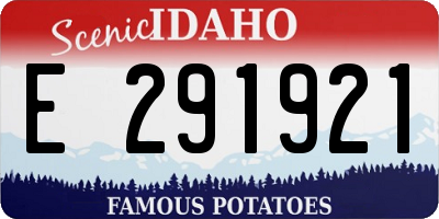 ID license plate E291921