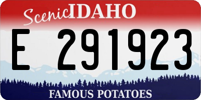 ID license plate E291923