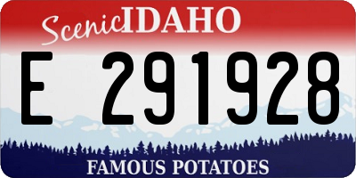 ID license plate E291928
