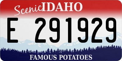 ID license plate E291929