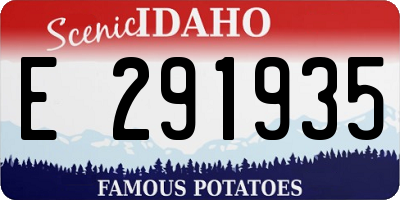 ID license plate E291935