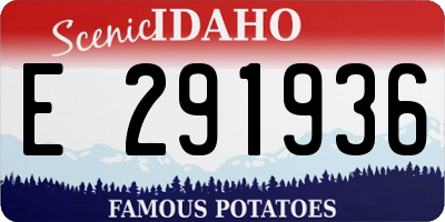 ID license plate E291936