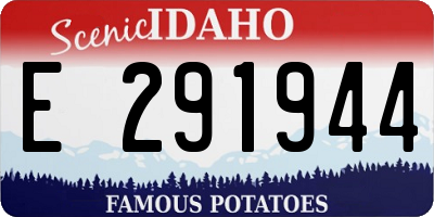 ID license plate E291944