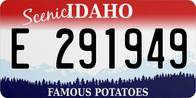 ID license plate E291949