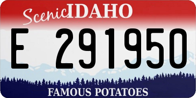 ID license plate E291950