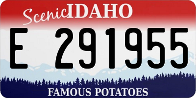 ID license plate E291955