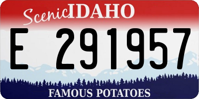 ID license plate E291957