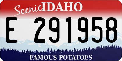 ID license plate E291958