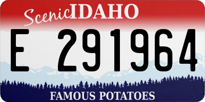 ID license plate E291964