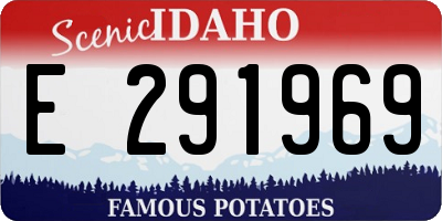 ID license plate E291969