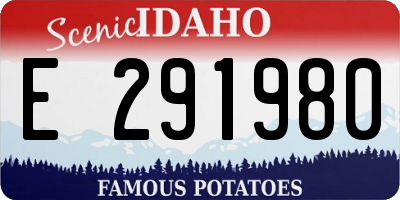 ID license plate E291980