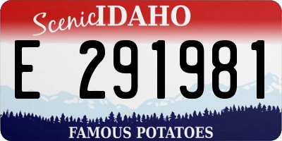 ID license plate E291981