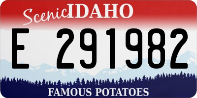 ID license plate E291982