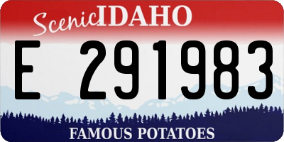 ID license plate E291983