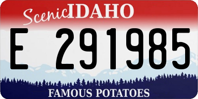 ID license plate E291985