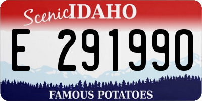 ID license plate E291990