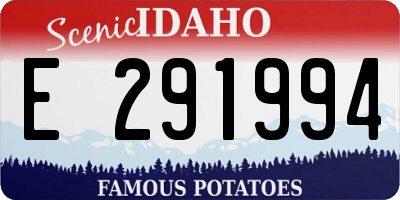 ID license plate E291994