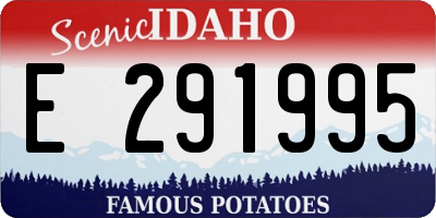 ID license plate E291995