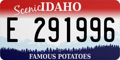 ID license plate E291996